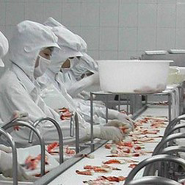 Các doanh nghiệp thủy sản: Vươn lên trong khó khăn