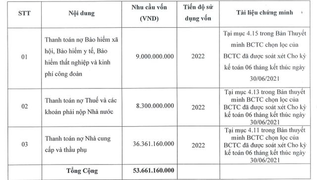 Địa ốc Tân Kỷ (TKC) triển khai chào bán hơn 5 triệu cổ phiếu huy động vốn để thanh toán các khoản nợ - Ảnh 1. Địa ốc Tân Kỷ (TKC) triển khai chào bán hơn 5 triệu cổ phiếu huy động vốn để thanh toán các khoản nợ - Ảnh 1.
