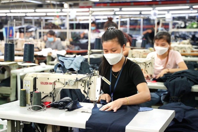 https://cdn.stockproxx.com/2023/10/23/det-may-viet-nam.jpg