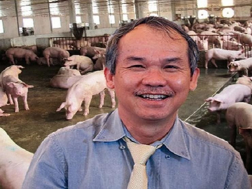 Giá heo áp sát đầu 7 - Cú hích cho HAG của bầu Đức trở lại mốc 10.000 đồng/cp?