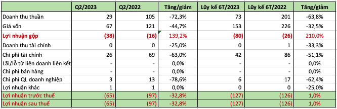 Kỳ lạ doanh nghiệp vận tải biển thua lỗ, âm vốn chủ sở hữu 4.600 tỷ đồng vẫn hoạt động