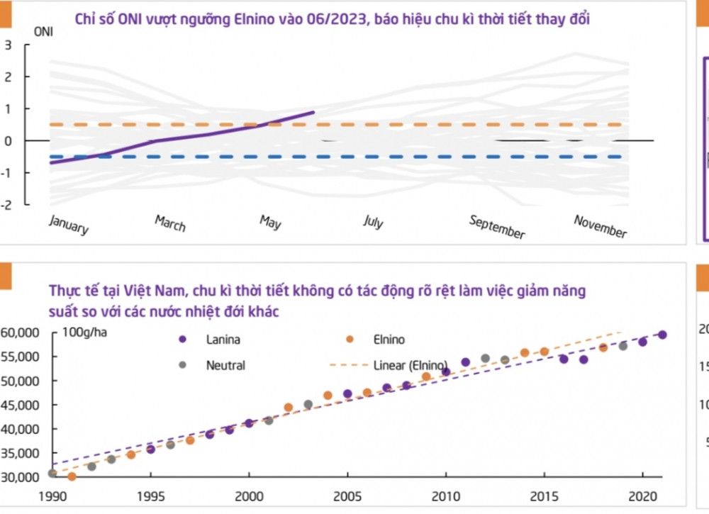Giá lương thực tăng vọt, chuyên gia khuyến nghị một cổ phiếu tiềm năng
