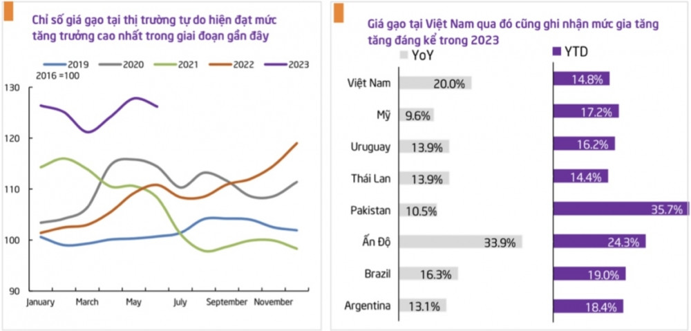 Giá lương thực tăng vọt, chuyên gia khuyến nghị một cổ phiếu tiềm năng