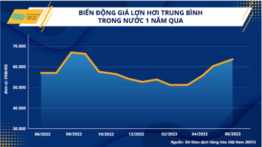Giá lợn tăng cao, Dabaco báo lãi quý 2 gấp 23 lần cùng kỳ