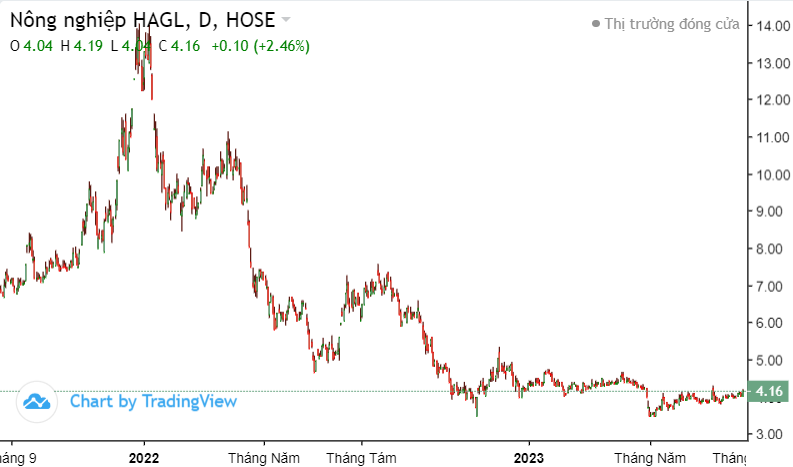 HAGL Agrico (HNG) lỗ 10 quý liên tiếp, 37% số buồng chuối phải bỏ thu hoạch HAGL Agrico (HNG) lỗ 10 quý liên tiếp, 37% số buồng chuối phải bỏ thu hoạch