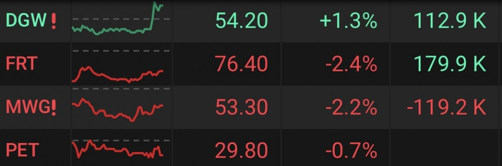 Gam màu sáng, tối ngành bán lẻ quý 2/2023: DGW hồi phục, FRT, MWG miệt mài dò đáy lợi nhuận