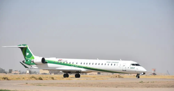 Gấu đi lại tung tăng trong khoang hàng máy bay, tiếp viên trấn an hành khách