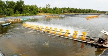 Thanh Hoá tiếp tục ‘bác’ đề xuất chuyển dự án nuôi thủy sản thành khu nghỉ dưỡng