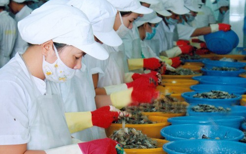 Công ty cổ phần thủy sản Bạc Liêu đã có lãi trở lại sau 5 quý liên tiếp thua lỗ. https://cdn.stockproxx.com/2023/8/10/thuy-san-bac-lieu.jpg