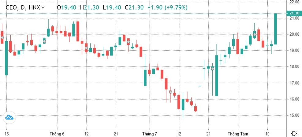 CEO tím lịm hậu công bố kết quả chào bán cổ phiếu