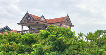 Ngôi làng ngày càng nhiều biệt thự nhờ trồng loại cây này