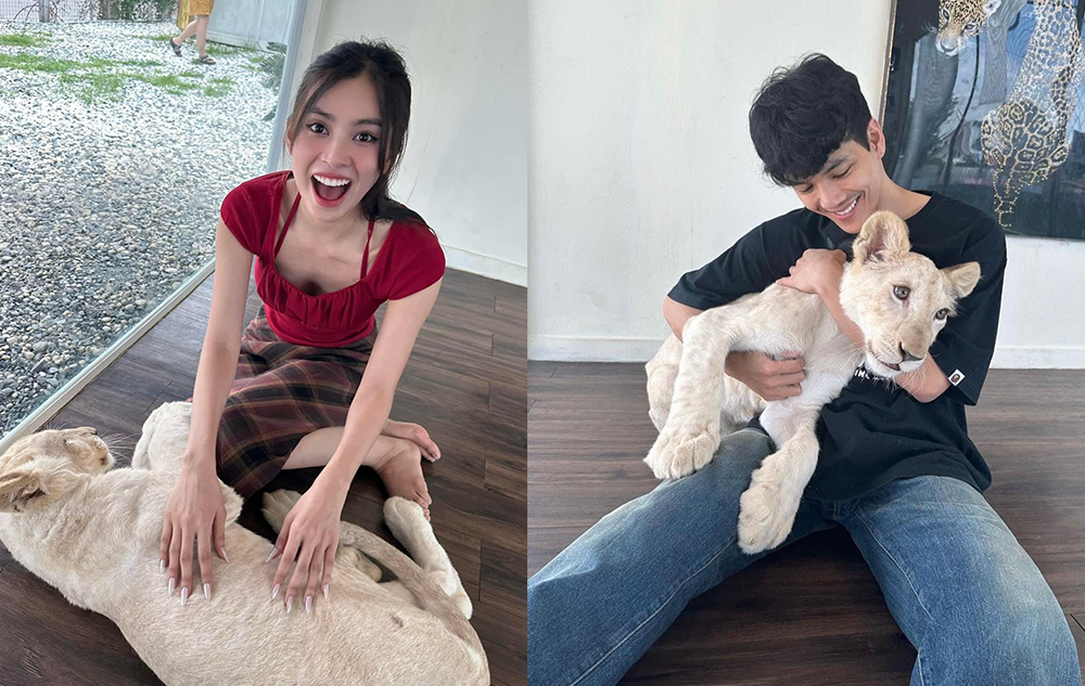 Hoa hậu Tiểu Vy và những lần vướng tin đồn hẹn hò: Trước tài tử Thái Lan còn có cả ông Đặng Lê Nguyên Vũ