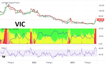 Cổ phiếu VIC giảm 11,5% sau 2 phiên, ông Phạm Nhật Vượng giảm 6.000 tỷ đồng tài sản
