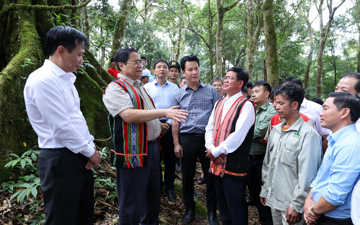 Thủ tướng: Đẩy mạnh liên kết, phát huy vai trò người dân trong sản xuất, chế biến sâm Ngọc Linh