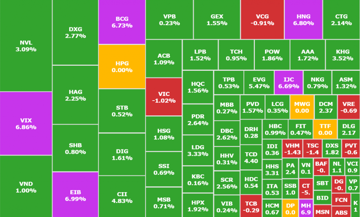 VIX, BCG, EIB, HNG đóng cửa tăng trần, cổ phiếu họ Vin bị bán trở lại