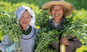 6 thói quen giúp trường thọ giúp một quốc gia đạt tuổi thọ trung bình 84 tuổi, điều đầu tiên ít người kiên trì được