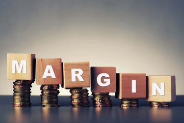 https://cdn.stockproxx.com/2023/8/22/cat-margin.jpg
