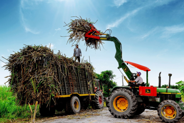 Cổ phiếu đường bứt phá, dòng tiền rục rịch nghỉ lễ 2/9
