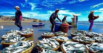 Nhật xả triệu tấn nước thải phóng xạ đã xử lý, cổ phiếu thủy sản Việt tăng mạnh