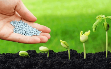 Một doanh nghiệp phân bón chốt lịch trả cổ tức bằng tiền tỷ lệ 30%, cổ phiếu bật tăng mạnh