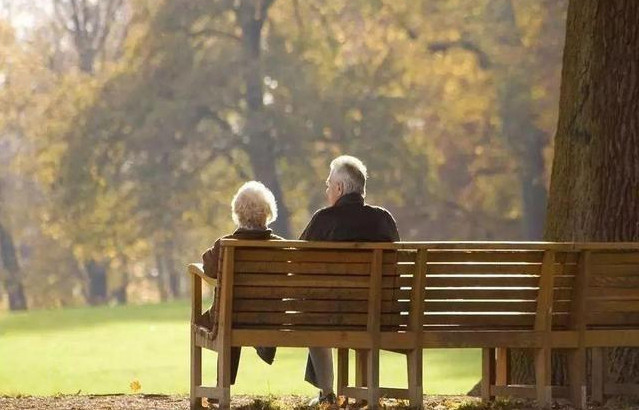 Sau 5 năm về hưu, tôi nhận ra tình cảm ruột thịt ở tuổi già rất 