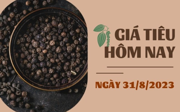 Giá tiêu hôm nay 31/8: Tăng đồng loạt 500 đồng/kg, cao su kỳ hạn tăng dưới 1%