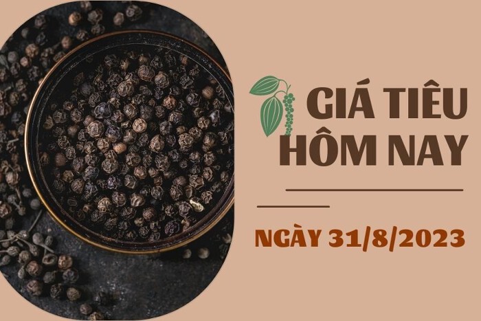 https://cdn.stockproxx.com/2023/8/31/gia-tieu.jpg