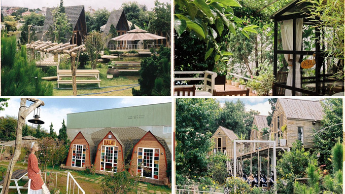 In-The-Pines-Homestay-7