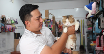 Bỏ làm y sĩ, chàng trai trẻ kiếm nửa tỷ đồng/năm từ mèo kiểng
