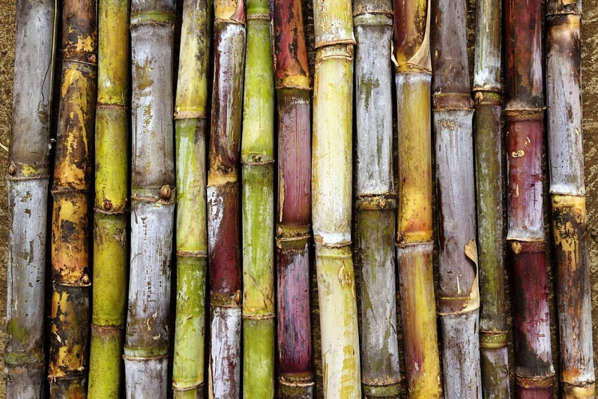 Chu kỳ El Nino trong đầu tư chứng khoán, đâu là các nhóm cổ phiếu nổi bật? Chu kỳ El Nino trong đầu tư chứng khoán, đâu là các nhóm cổ phiếu nổi bật?