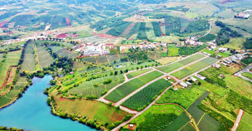 Lâm Đồng giao dịch hơn 1.400 đất nền, 3 căn chung cư