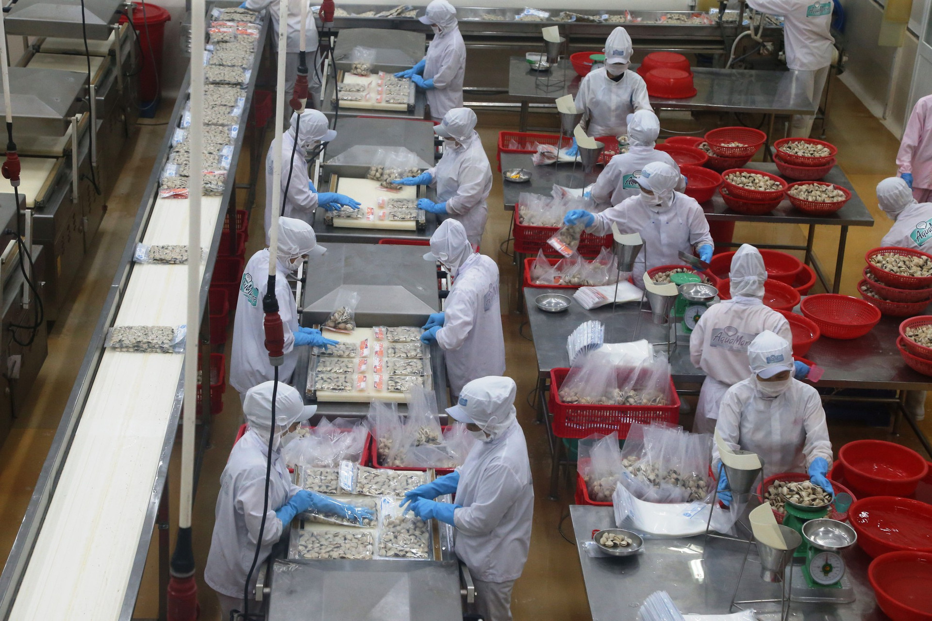 Agribank có “gói” tín dụng ưu đãi 3.000 tỷ đồng cho lĩnh vực lâm, thủy sản - Ảnh 1. Agribank có “gói” tín dụng ưu đãi 3.000 tỷ đồng cho lĩnh vực lâm, thủy sản - Ảnh 1.