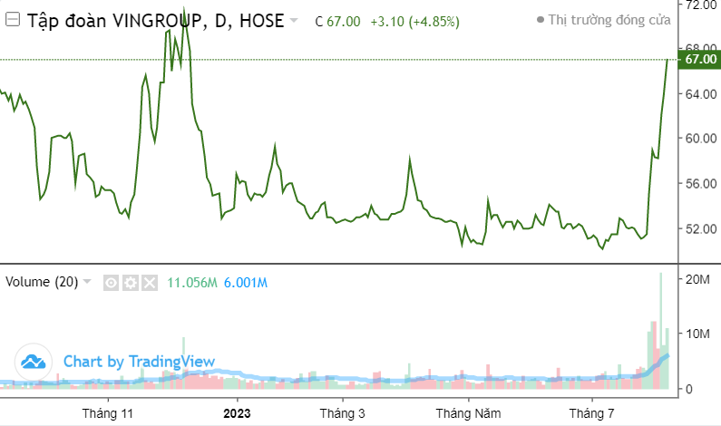 Top 10 cổ phiếu tâm điểm phiên 8/8: VIC, HHS, VIX, ITA, POW, HAG, DBC,...