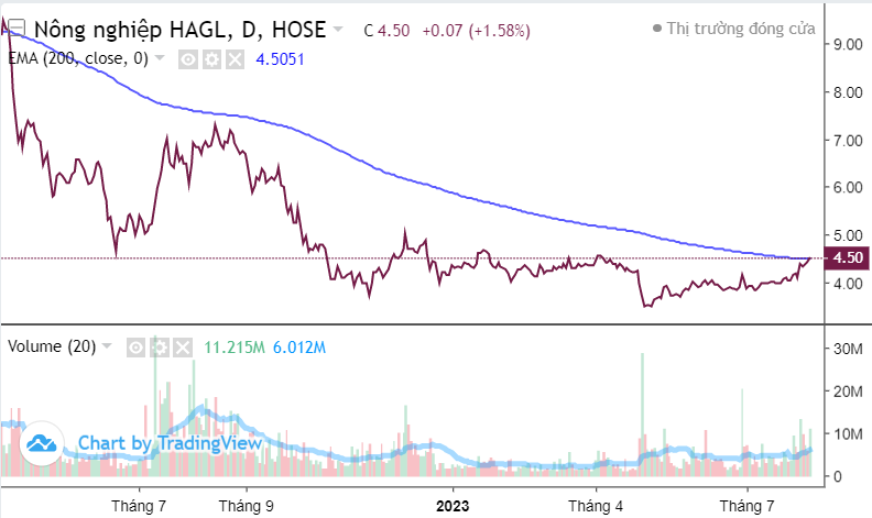 Top 10 cổ phiếu tâm điểm phiên 8/8: HHS, VIX, VIC, ITA, DBC,...