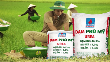 Doanh nghiệp phân bón “nhà” Đạm Phú Mỹ (DPM) sắp chia cổ tức tỷ lệ 30% bằng tiền
