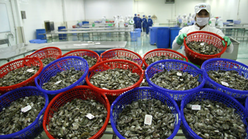 Xuất khẩu thuỷ sản khởi sắc, Bộ Nông nghiệp chỉ đạo khẩn