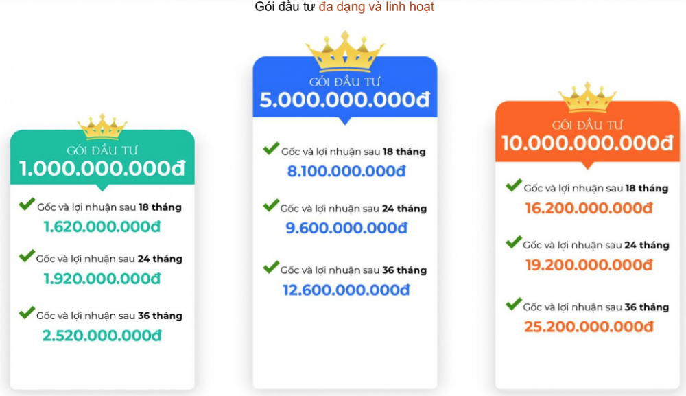 Hệ sinh thái “khủng” của CEO công ty Nhật Nam vừa bị khởi tố, bắt tạm giam – bà Vũ Thị Thúy