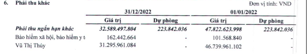 CEO Nhật Nam bị bắt, khoản phải thu 31 tỷ đồng của Sông Đà1.01 (SJC) với bà Thúy sẽ ra sao?