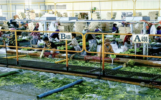 https://cdn.stockproxx.com/2023/9/12/hoang-anh-gia-lai.png