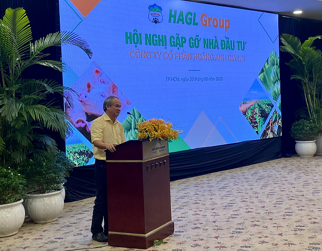 https://cdn.stockproxx.com/2023/9/12/hoang-anh-gia-lai1.png