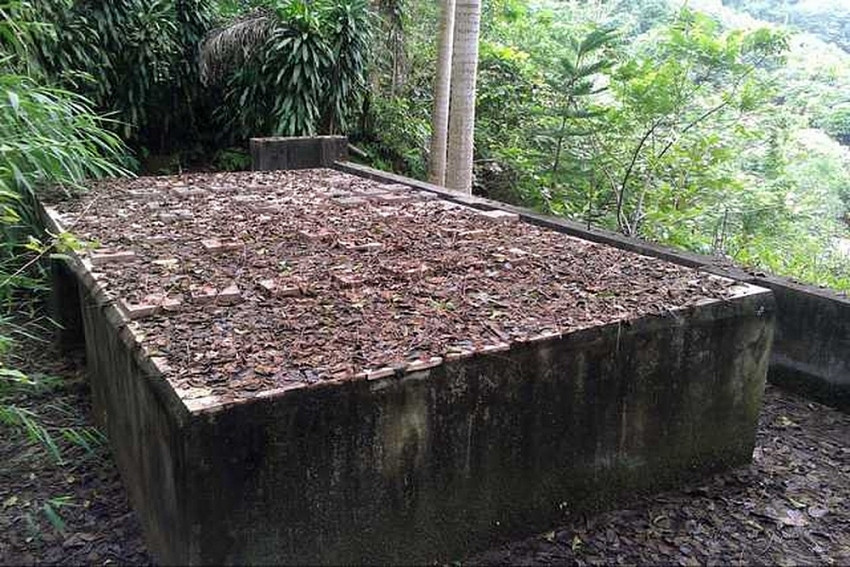 Đại gia Việt và những sở thích 