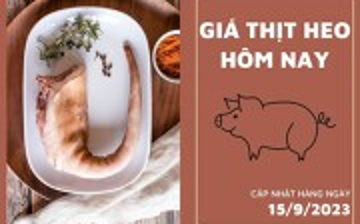 Giá thịt heo hôm nay 15/9: Đuôi heo vẫn giữ nguyên 127.000 đồng/kg