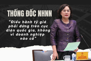 Thống đốc NHNN: "Điều hành tỷ giá phải đứng trên cục diện quốc gia, không vì doanh nghiệp nào cả"