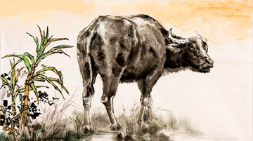 Khởi đầu tuần mới (18/9 - 24/9): 3 con giáp này có vận may bùng nổ, tài lộc ùn ùn kéo đến