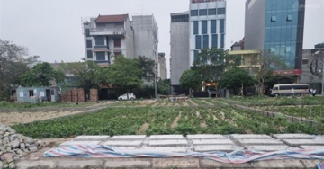 Giữa lúc thị trường trầm lắng, một địa điểm tại Hà Nội đấu giá đất cao ngất ngưởng gây sốc