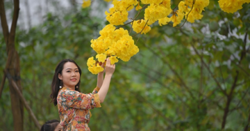 Thời tiết Hà Nội 10 ngày tới: Nắng nóng liên tiếp