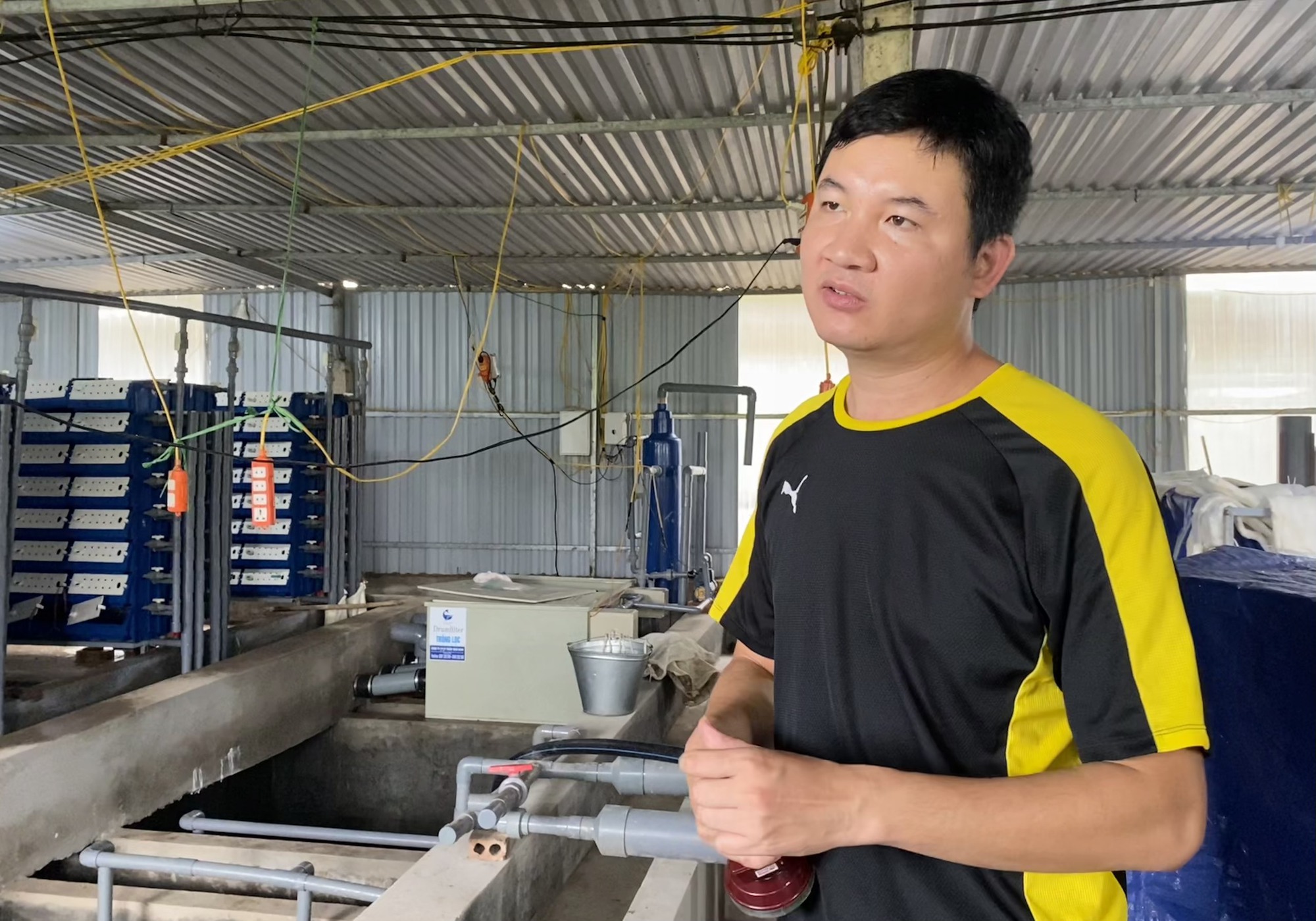 Nuôi cua biển đặc sản giữa lòng Hà Nội - Ảnh 1.