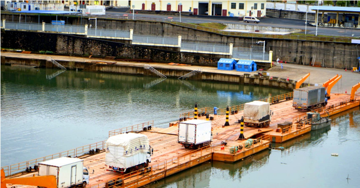 Giải cứu 6 tấn tôm hùm không xuất được, Trung Quốc nhập hàng trở lại