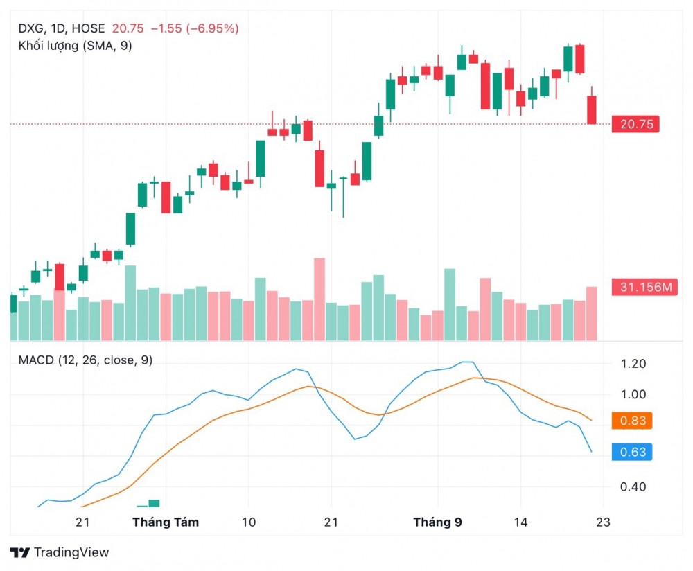 Em trai Chủ tịch Đất Xanh mua “chui” cổ phiếu DXG trong phiên giảm sàn?