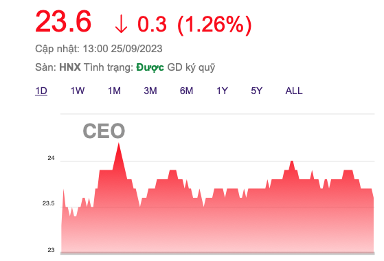 CEO Group 